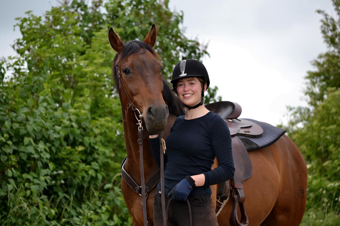 Hannoveraner Lille Per - Sommer 2014 billede 28