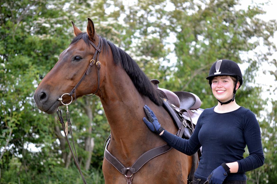 Hannoveraner Lille Per - Dig og mig - sommer 2014 billede 31