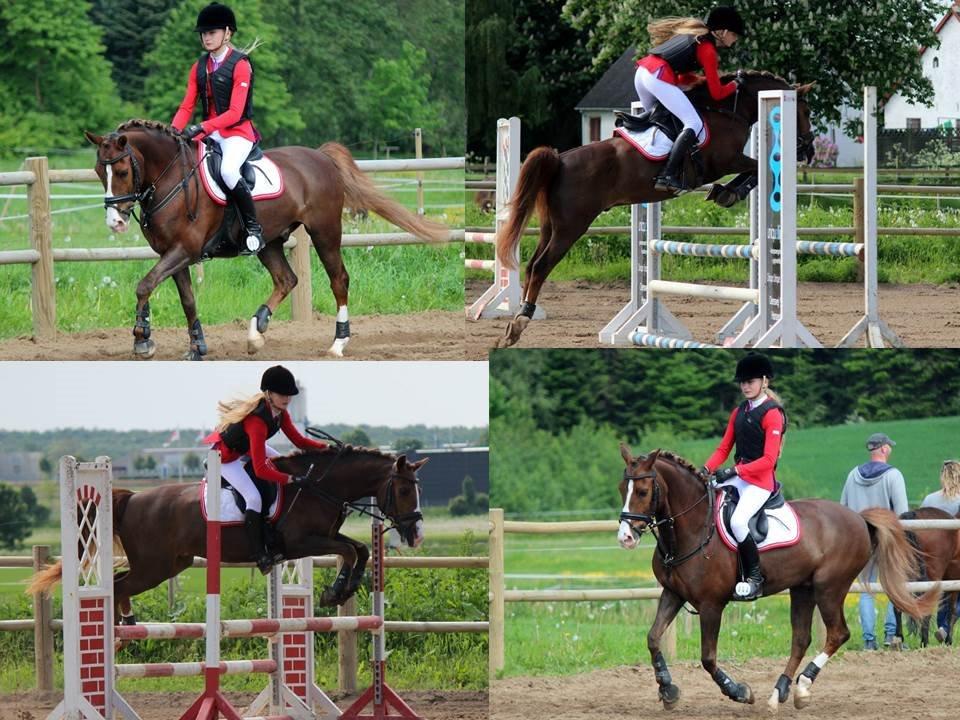 New Forest Koedijks Milano *Låner* billede 7