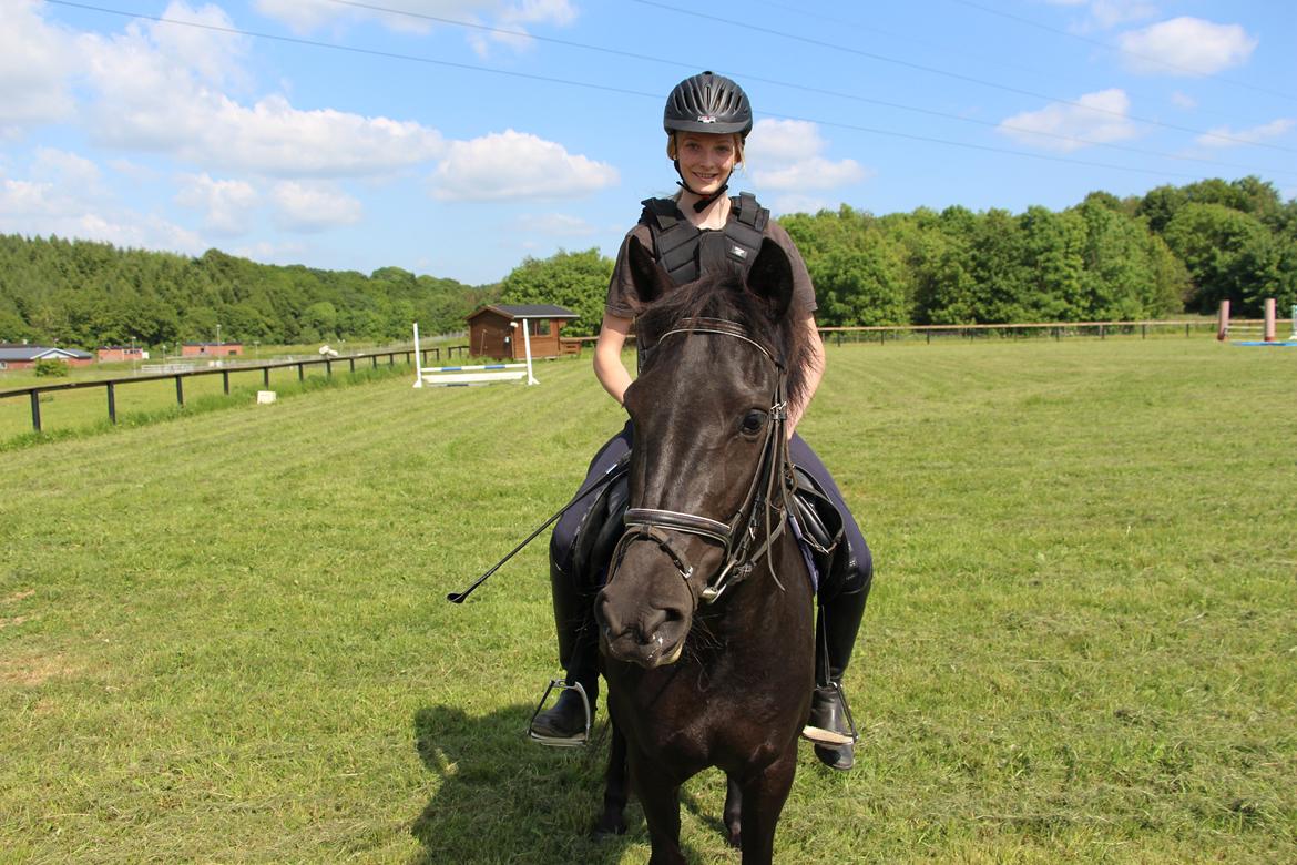 New Forest Egeballes Timian billede 19