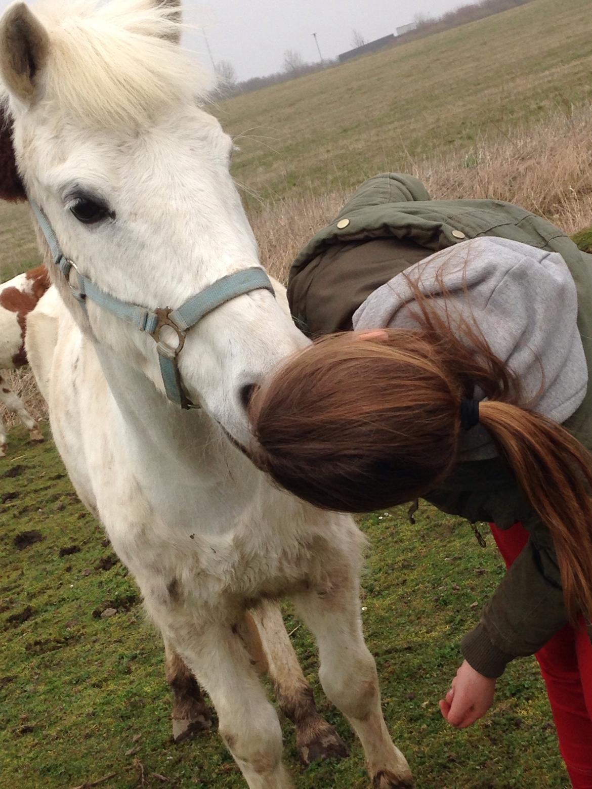 Anden særlig race Tinka - My hero! billede 4
