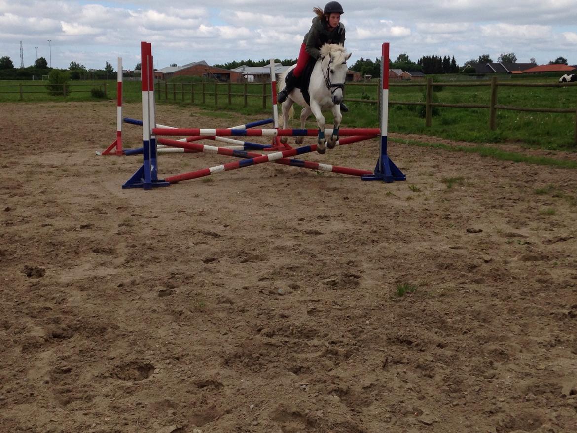 Anden særlig race Tinka - Du kan få mig op når jeg føler mig nede.<3 billede 13