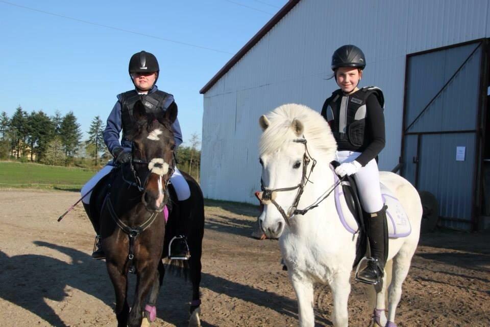 Anden særlig race Tinka - Til udestævne  billede 6