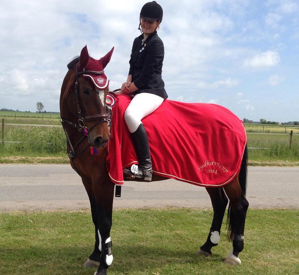 Ungarnsk Varmblod  Lili - VINDER AF SYDHAVS CUP 2014! billede 1