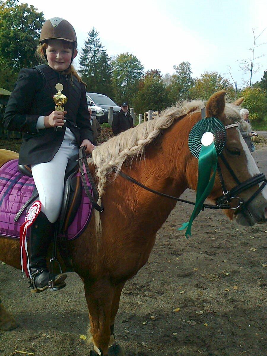 Haflinger Blondie - 4 plads i søhøjlandets cup 2012 billede 8