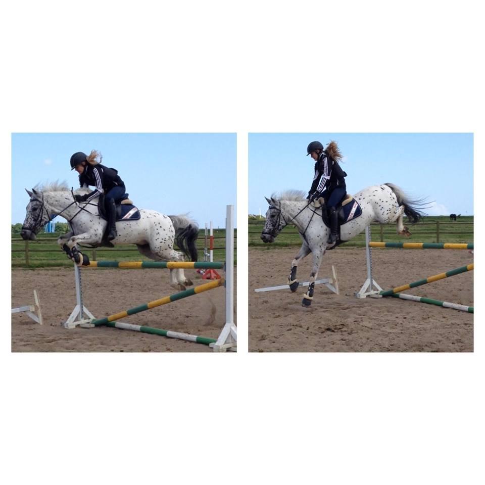 Knabstrupper Xander - 120 på stjernen!!!!!! billede 47