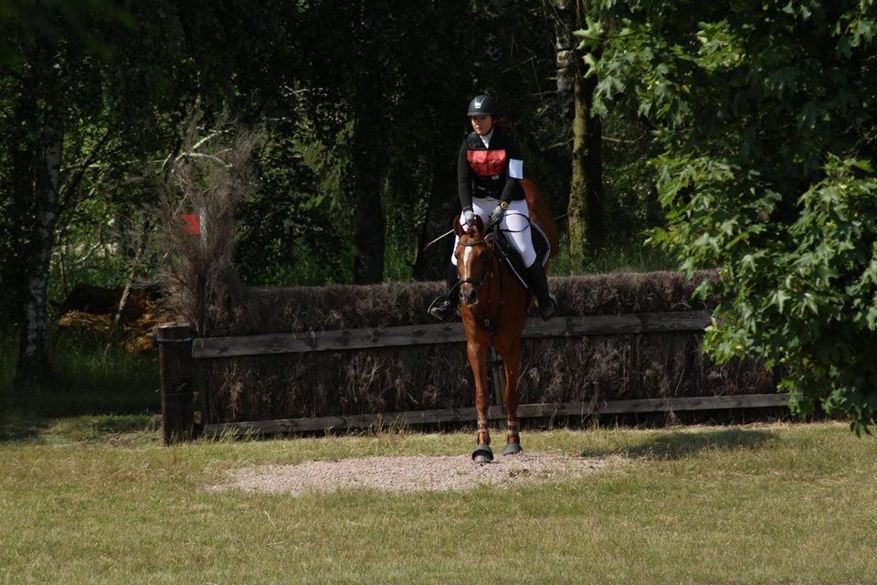 Dansk Varmblod Fiona - H90 i Dagstorp svergie. Blev placeret som nr 8. billede 8