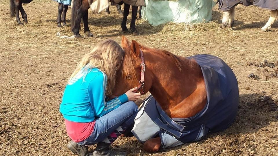 Anden særlig race pony - 3 ord tillid, kærlighed, venskab<3<3 billede 18
