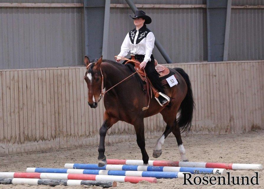 Holstener T-Rex billede 8