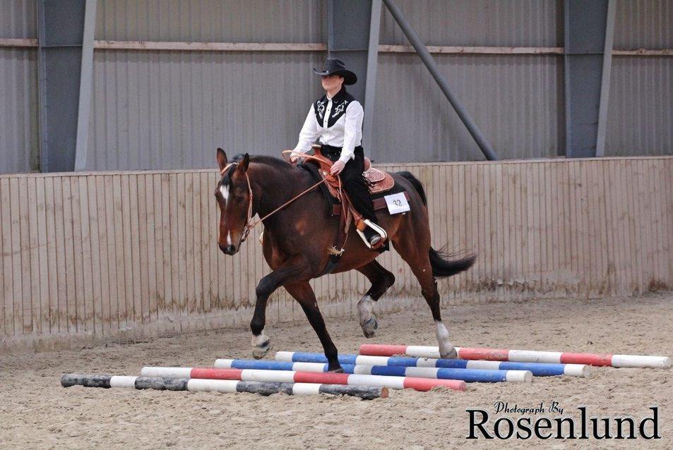 Holstener T-Rex billede 10