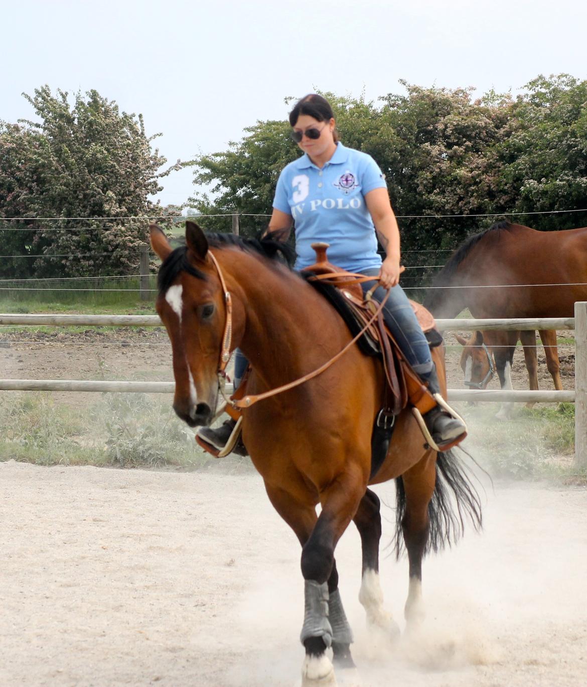 Holstener T-Rex billede 4