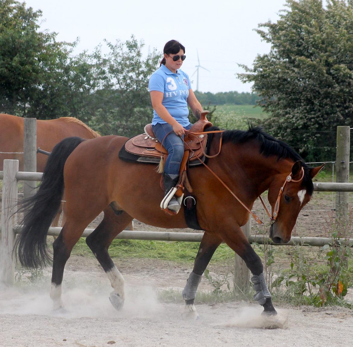 Holstener T-Rex billede 3