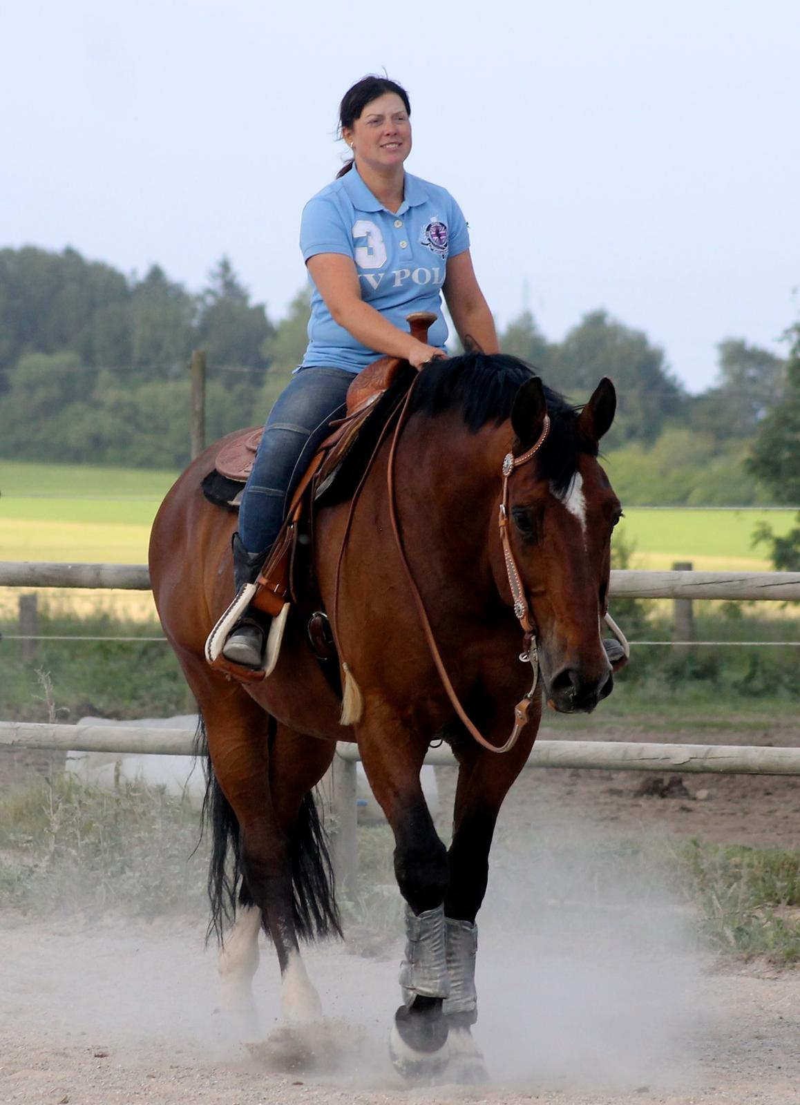 Holstener T-Rex billede 2