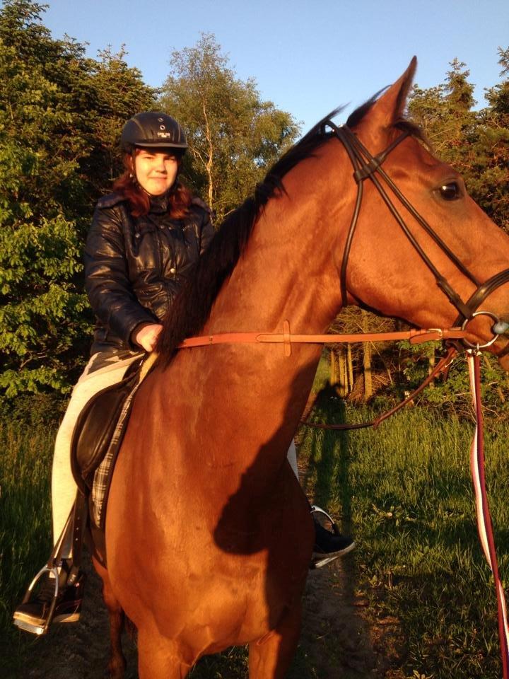 Fuldblod (XX) Flay billede 3