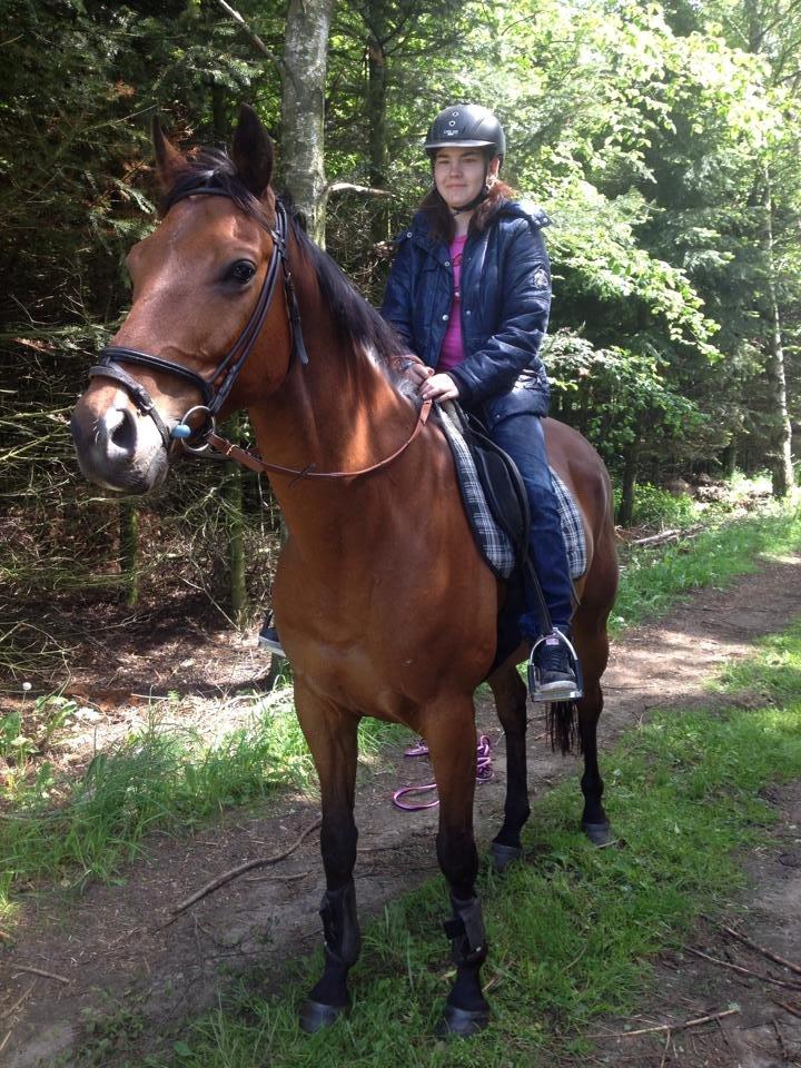 Fuldblod (XX) Flay billede 9