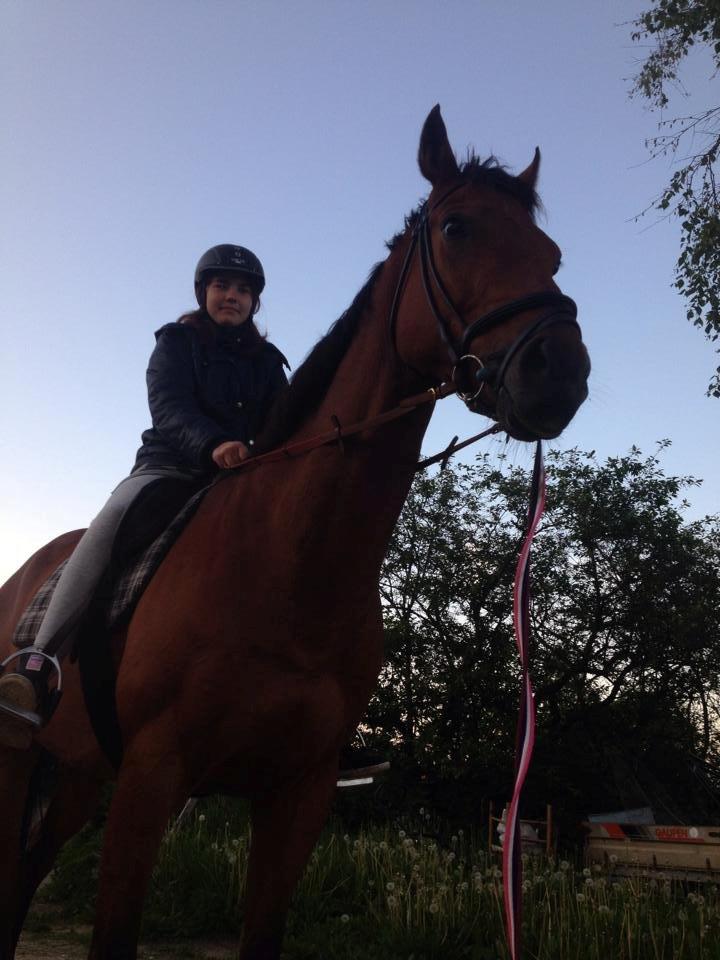 Fuldblod (XX) Flay billede 13