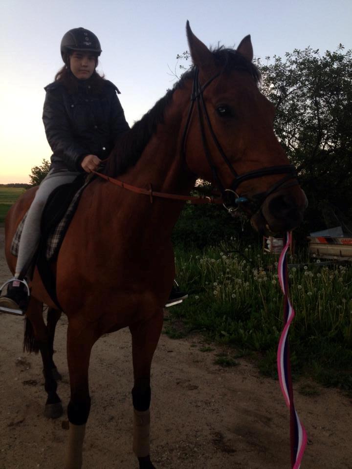 Fuldblod (XX) Flay billede 19