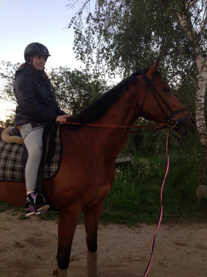 Fuldblod (XX) Flay billede 20