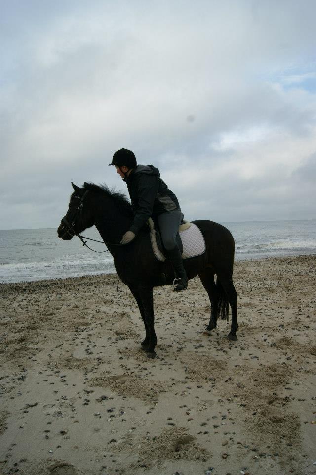 New Forest Krondalens Corfu - Corfu og jeg på stranden i Fjand.  billede 13