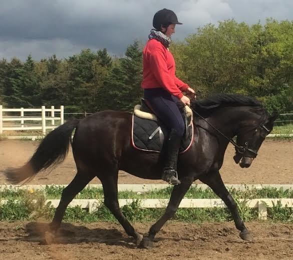 New Forest Krondalens Corfu - Forår 2014 billede 12