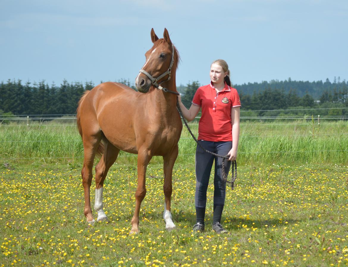 DSP Aleksander - Første dag med Aleksander. 3/6 2014 billede 2