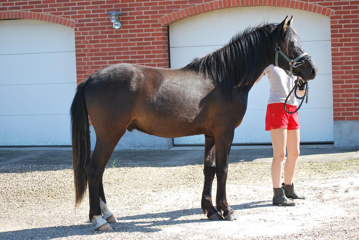 Anden særlig race Zantos - 30-06-2014 Velkommen til Zantos profil :D billede 1