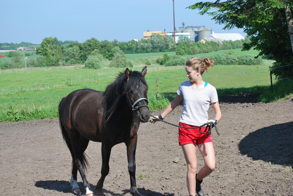 Anden særlig race Zantos - 30-06-2014 billede 3
