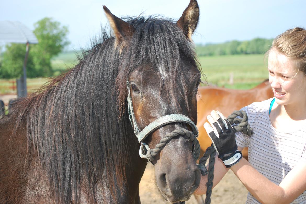 Anden særlig race Zantos - 30-06-2014 billede 4