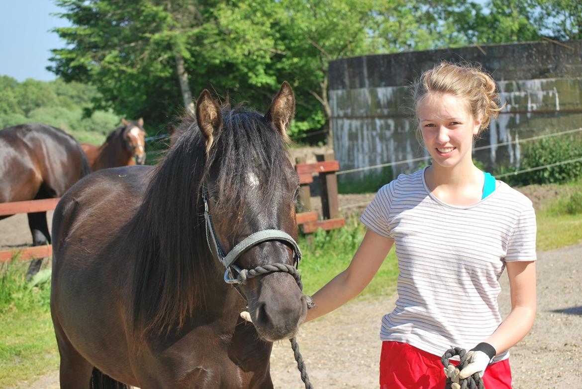Anden særlig race Zantos - 30-06-2014 billede 2
