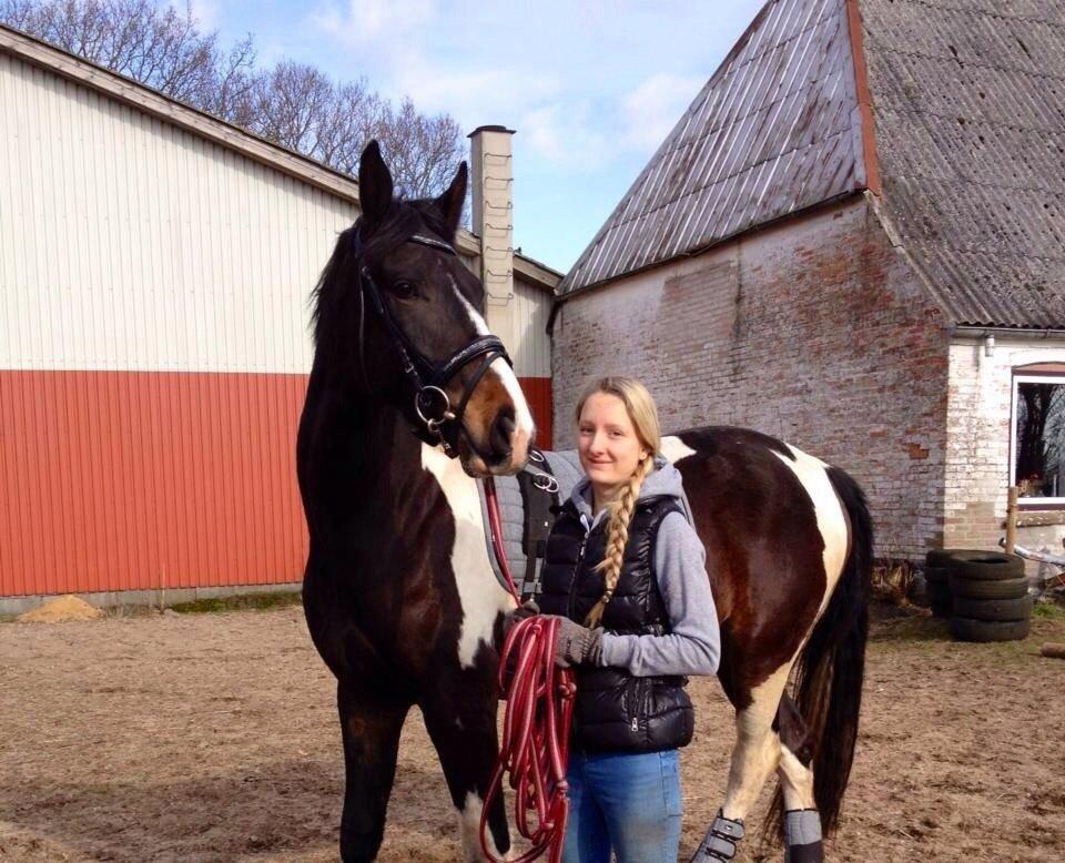 Pinto Karano billede 15