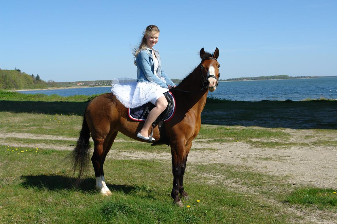 New Forest Dalgaardens Casandra - Konfirmation d. 27/4-2014 billede 12