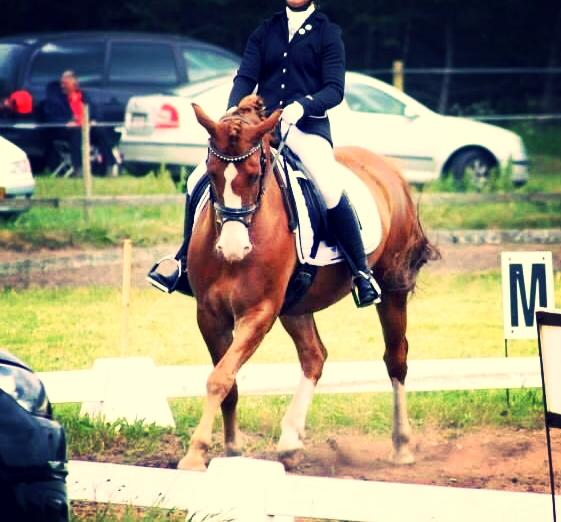 Anden særlig race Milando - Stævne i Blåbjerg rideklub. billede 2