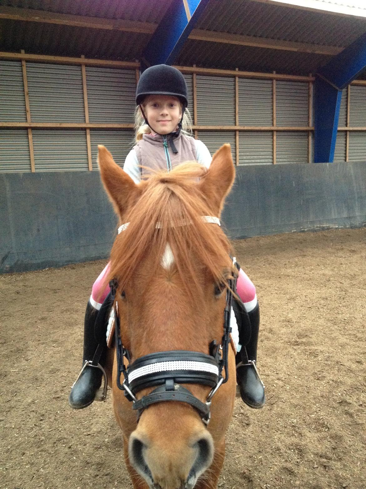 Anden særlig race magic star billede 13