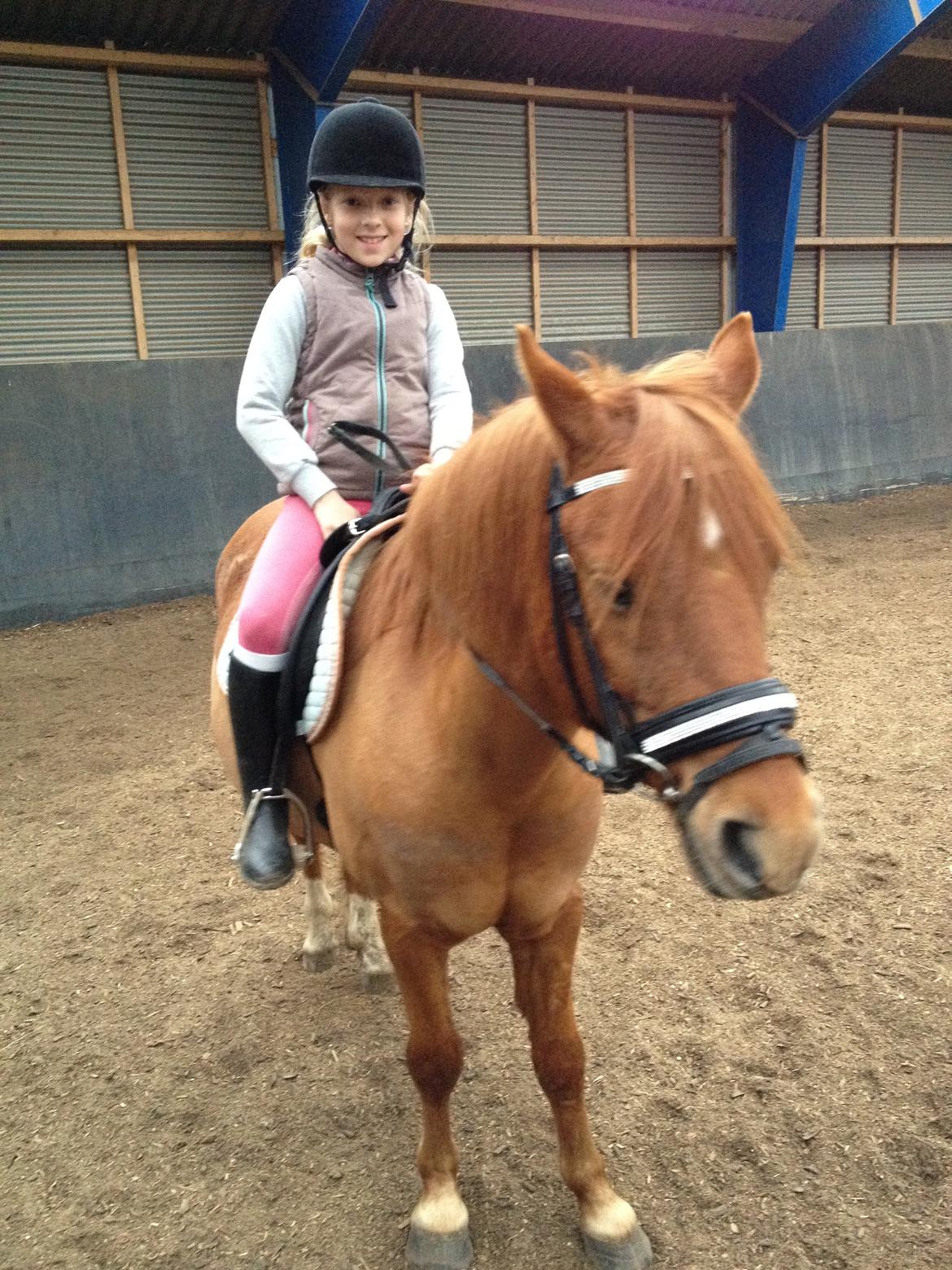 Anden særlig race magic star billede 15