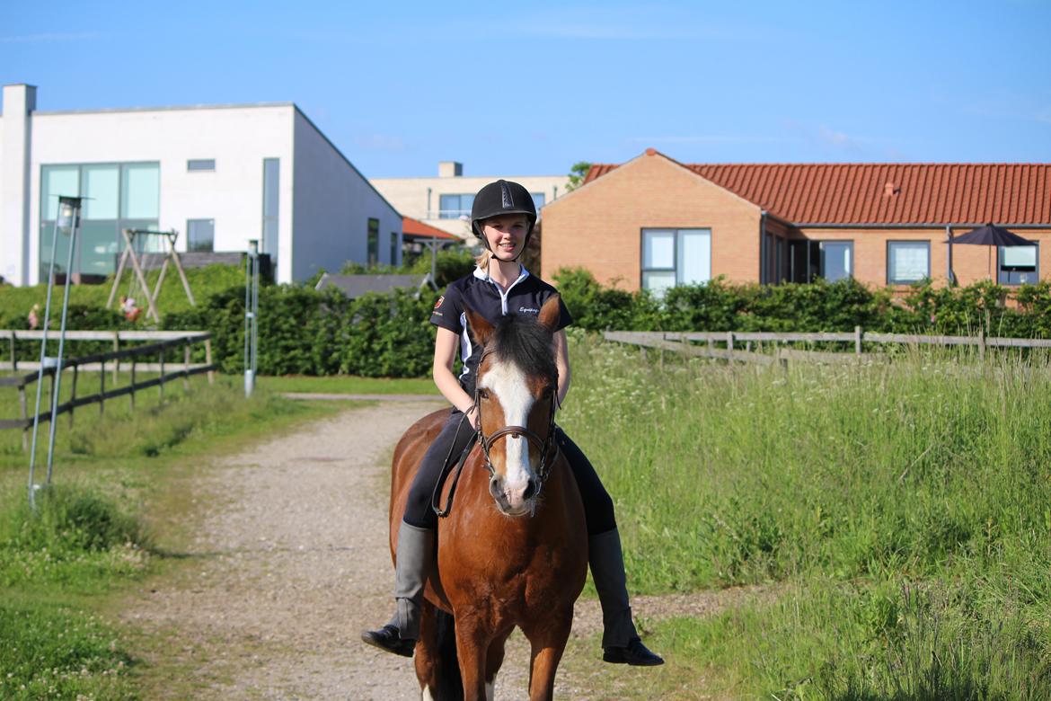 Anden særlig race Fair Play [ELEVPONY] - Første gang på tur uden sadel 02.06.14 billede 9