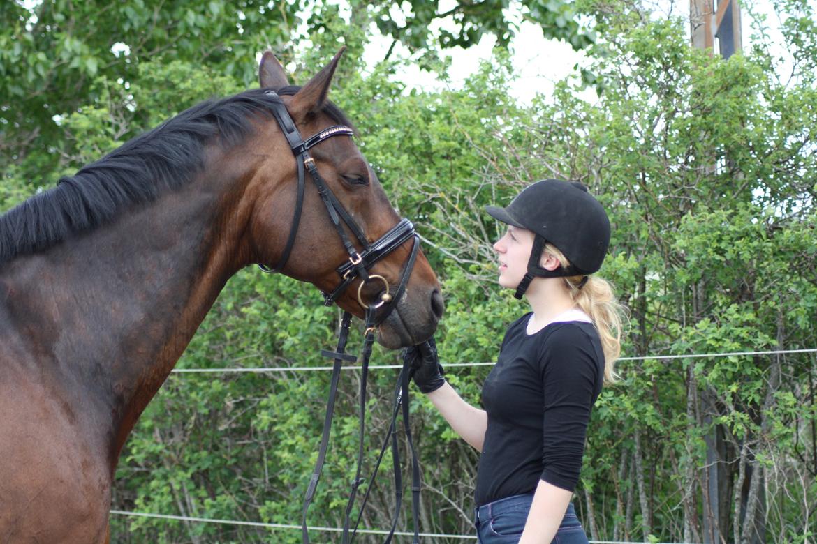 Anden særlig race Easy Go Sofus billede 20