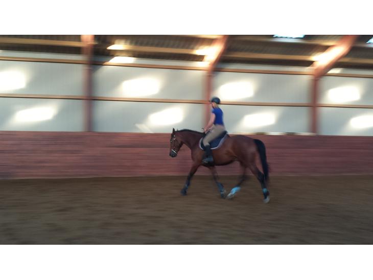 {{currentPhoto.altText}} billede {{currentPhoto.number}}