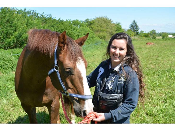 {{currentPhoto.altText}} billede {{currentPhoto.number}}