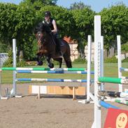 DSP Tricksy f af Lillenæsgård