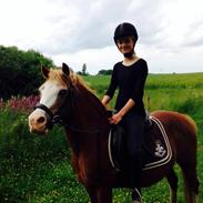 Anden særlig race Natasja