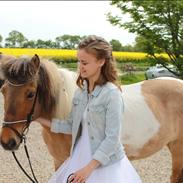 Islænder Blika fra Litlu-Sandvik <3