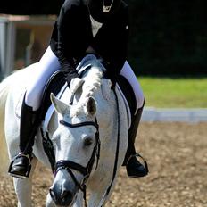 Connemara Hesselholt's Casano B-pony