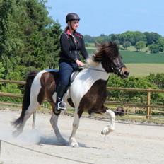 Islænder Hjalti fra Juel