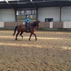 Oldenborg Dragonens Select