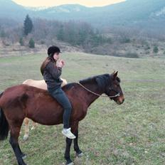 Anden særlig race Cerise