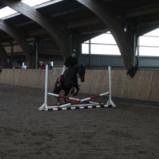 Anden særlig race Flika