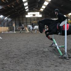 Anden særlig race Flika