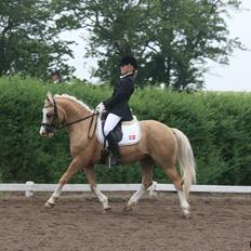 Anden særlig race  Fursten Fire        ( B-Pony )