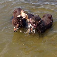 Anden særlig race Cira (udlånt)