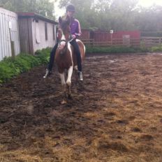 Anden særlig race Sunday